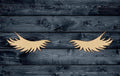 Lashes Eyelashes Eyes Wood Cutout Shape Blank Set of 2 (Left & Right) Sign 1/4 inch thick